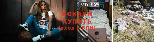 крисы Абдулино
