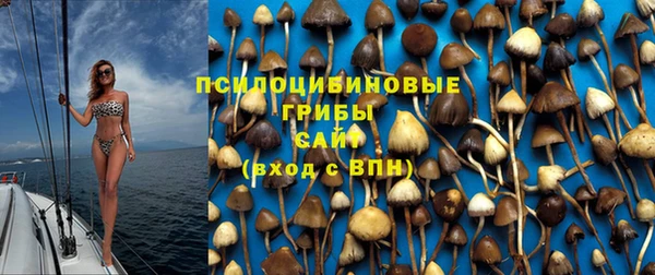 крисы Абдулино