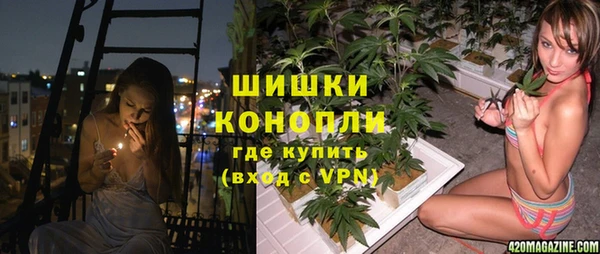 крисы Абдулино