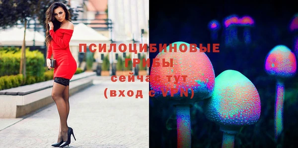 крисы Абдулино