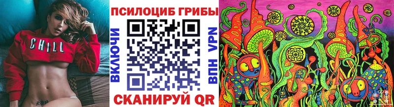 продажа наркотиков  Цоци-Юрт  Псилоцибиновые грибы Magic Shrooms 